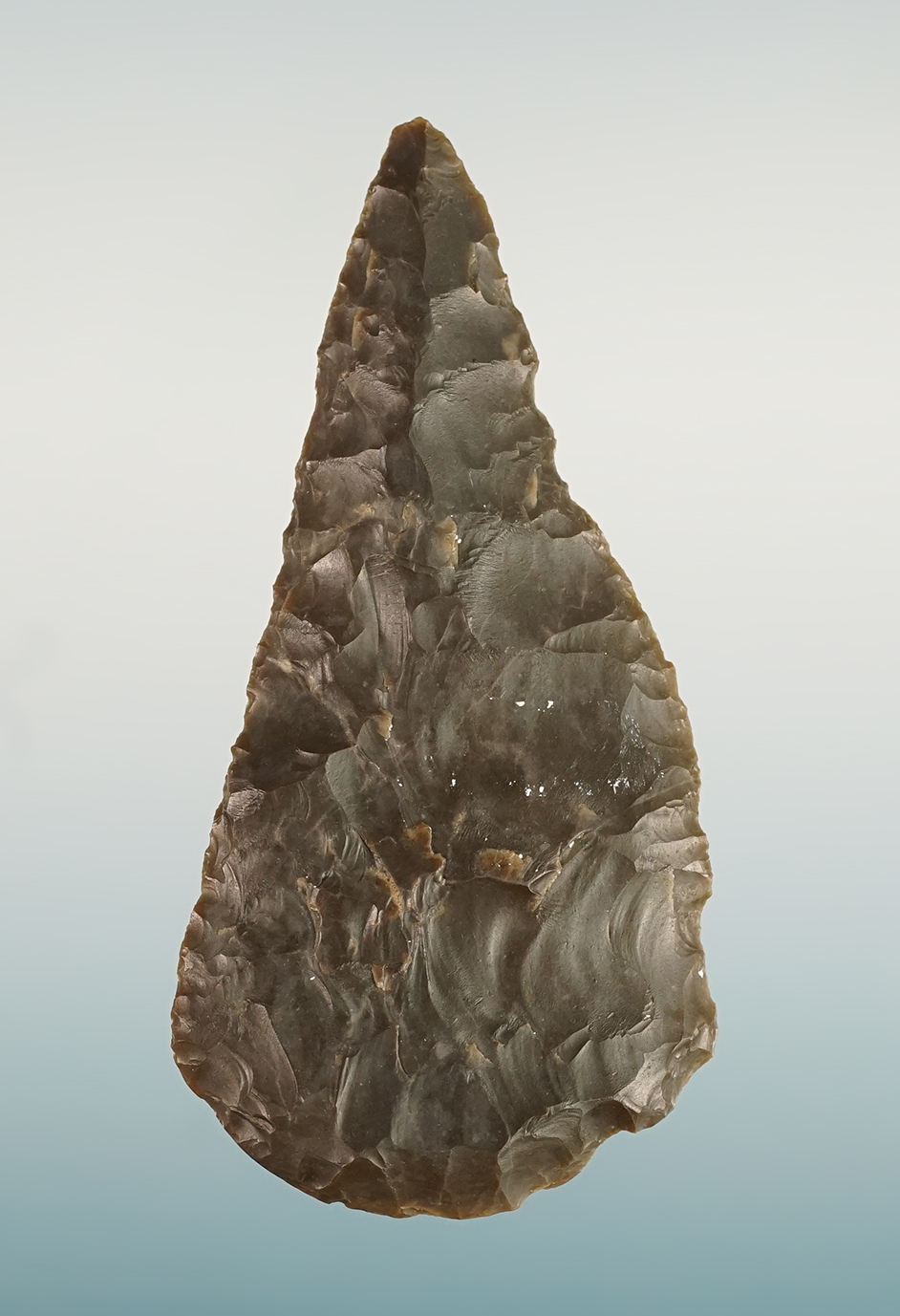 Main artifact image