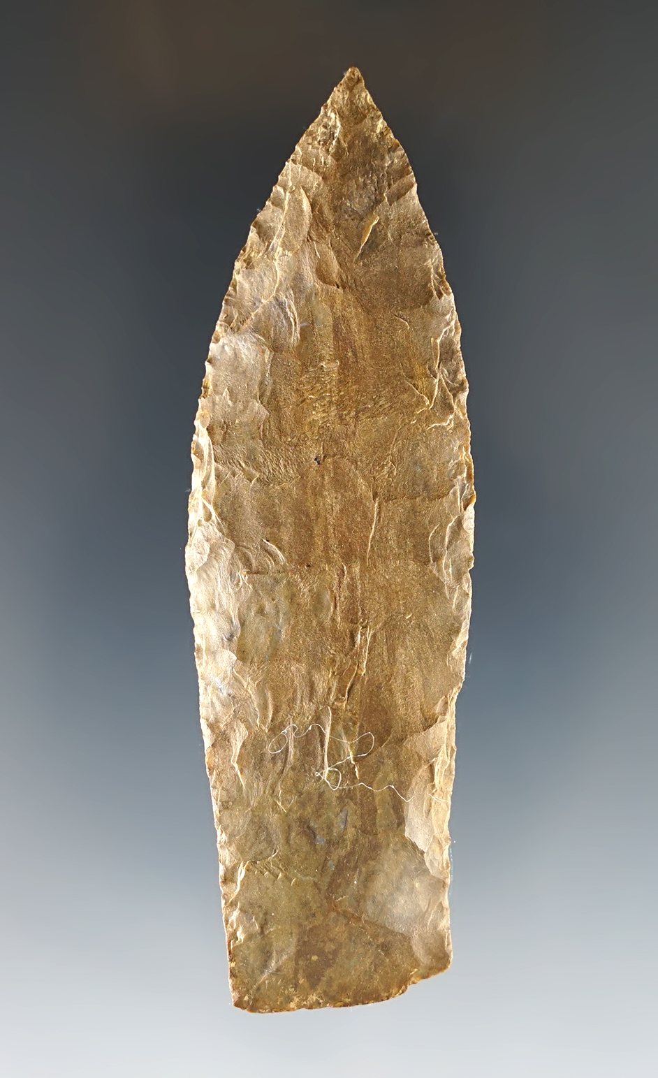 Main artifact image