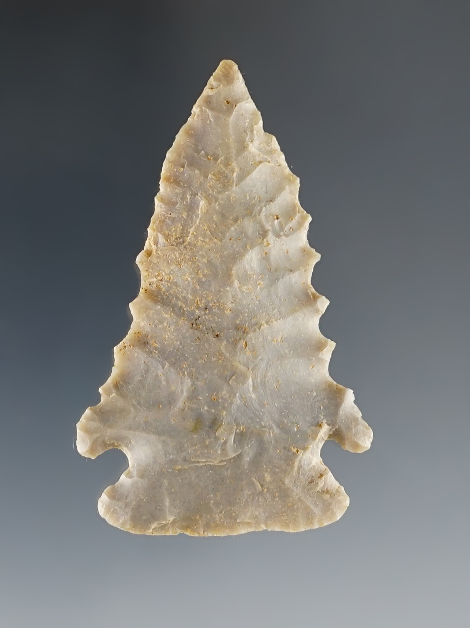 Main artifact image