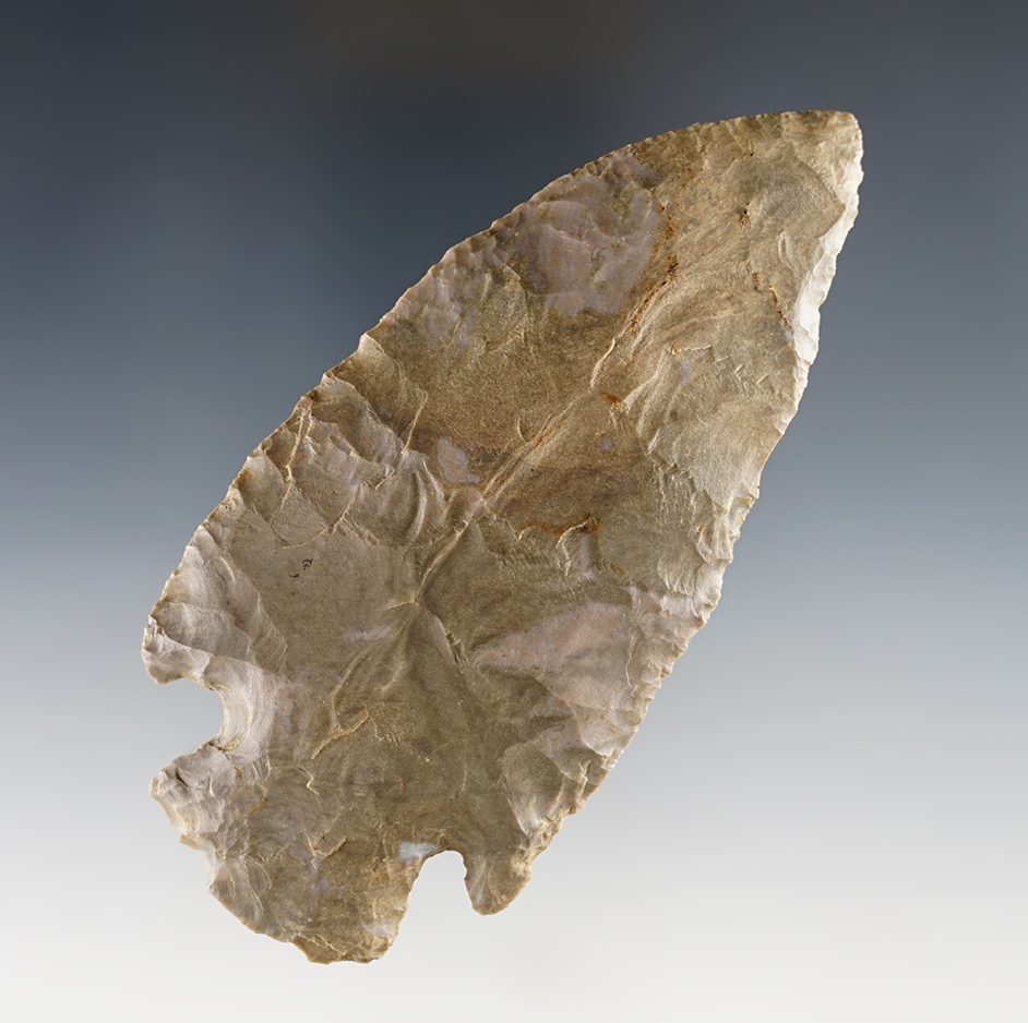 Main artifact image