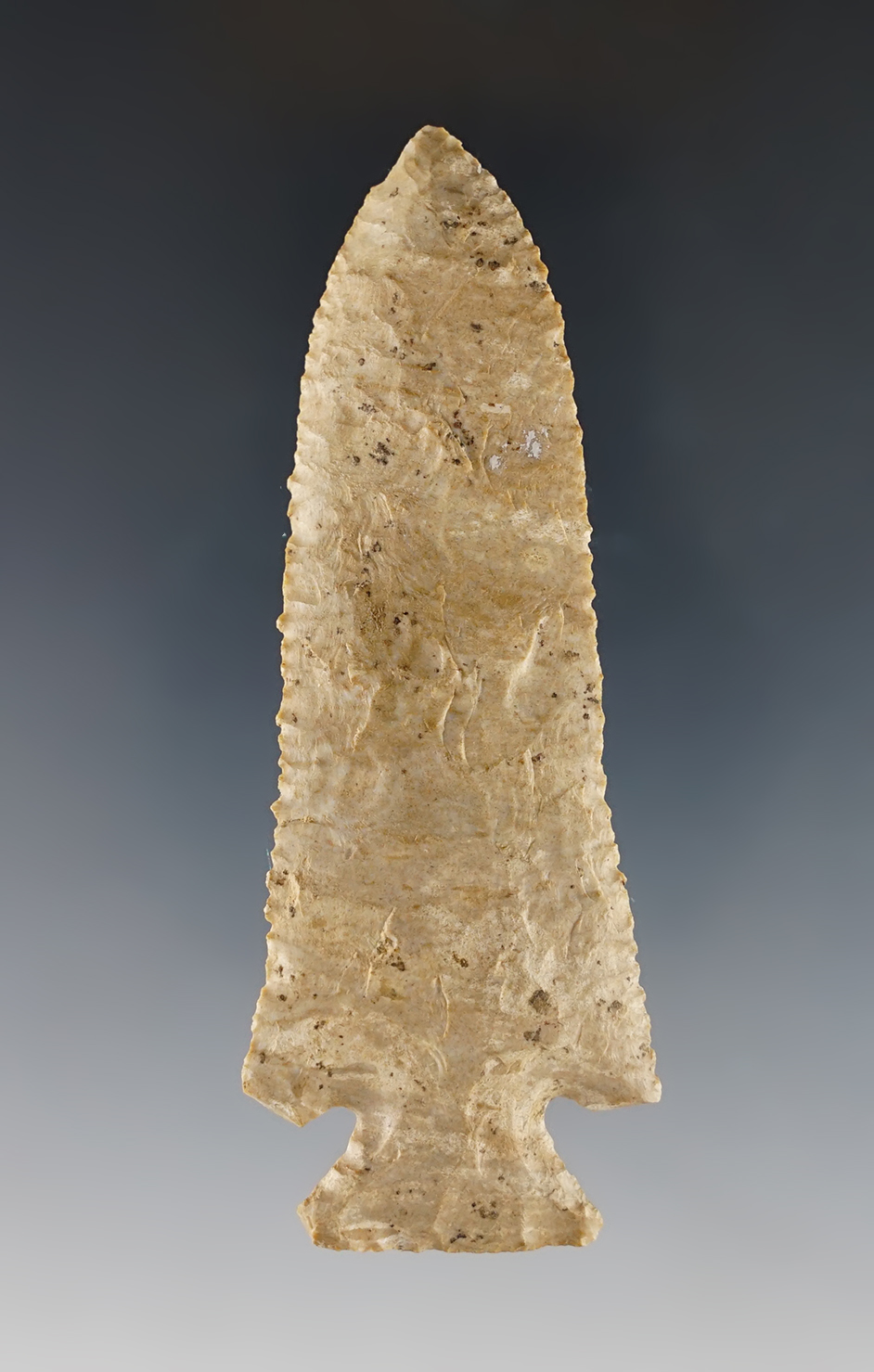 Main artifact image
