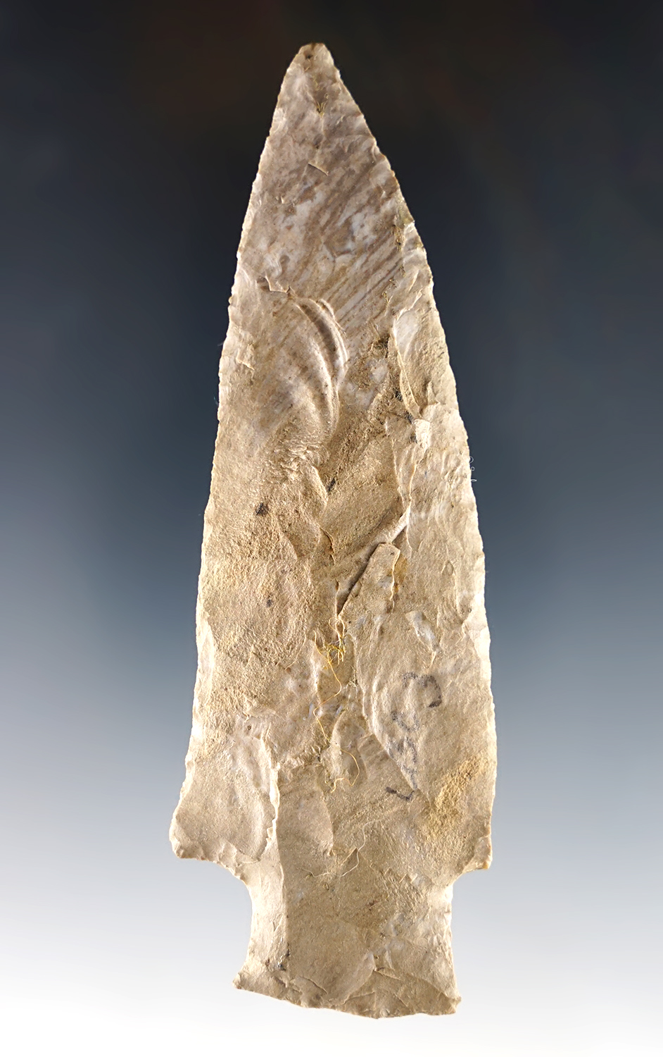 Main artifact image