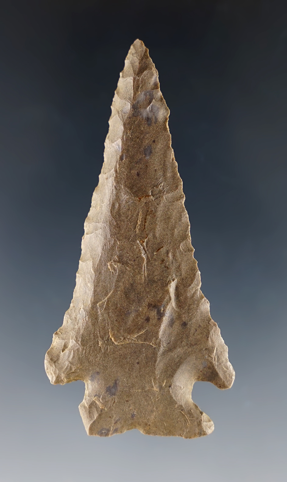Main artifact image