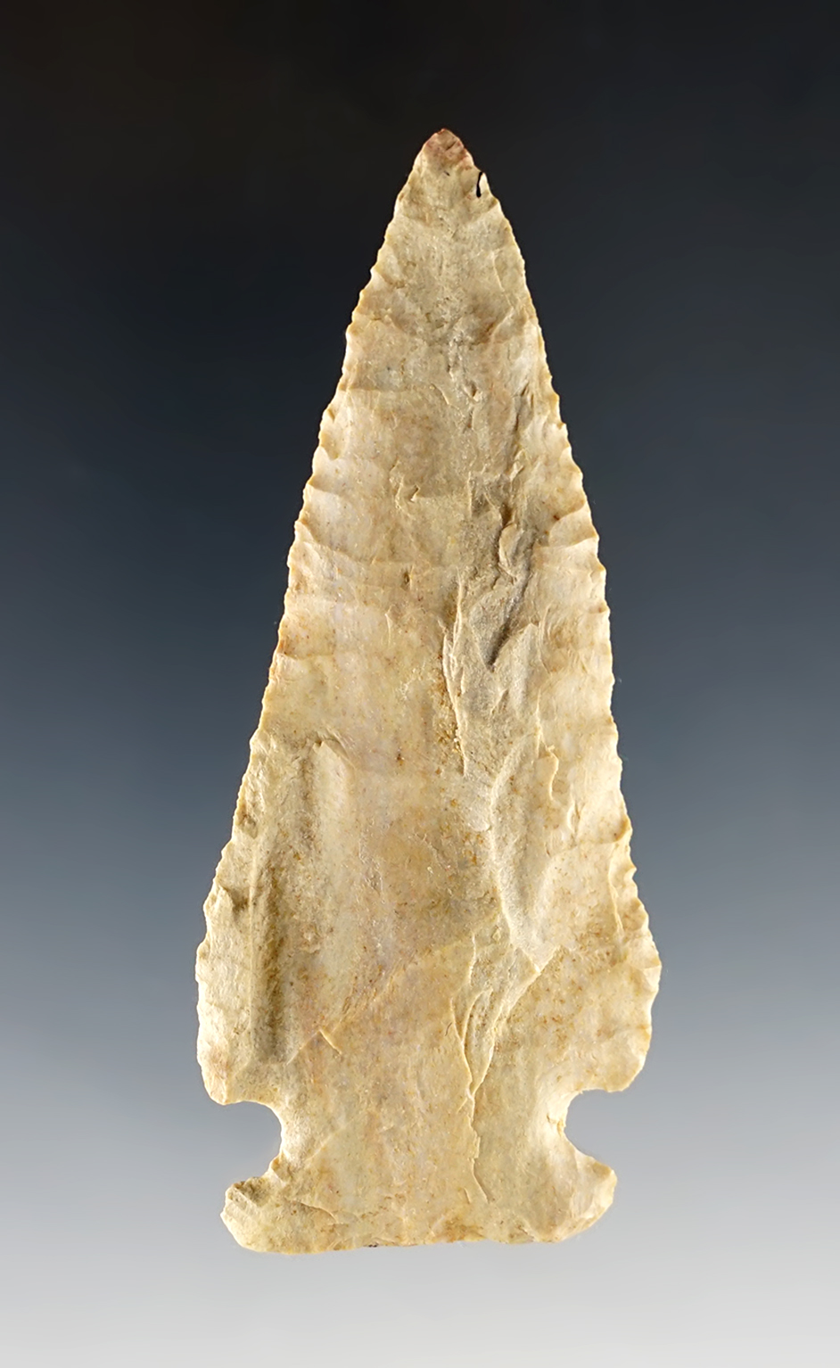 Main artifact image