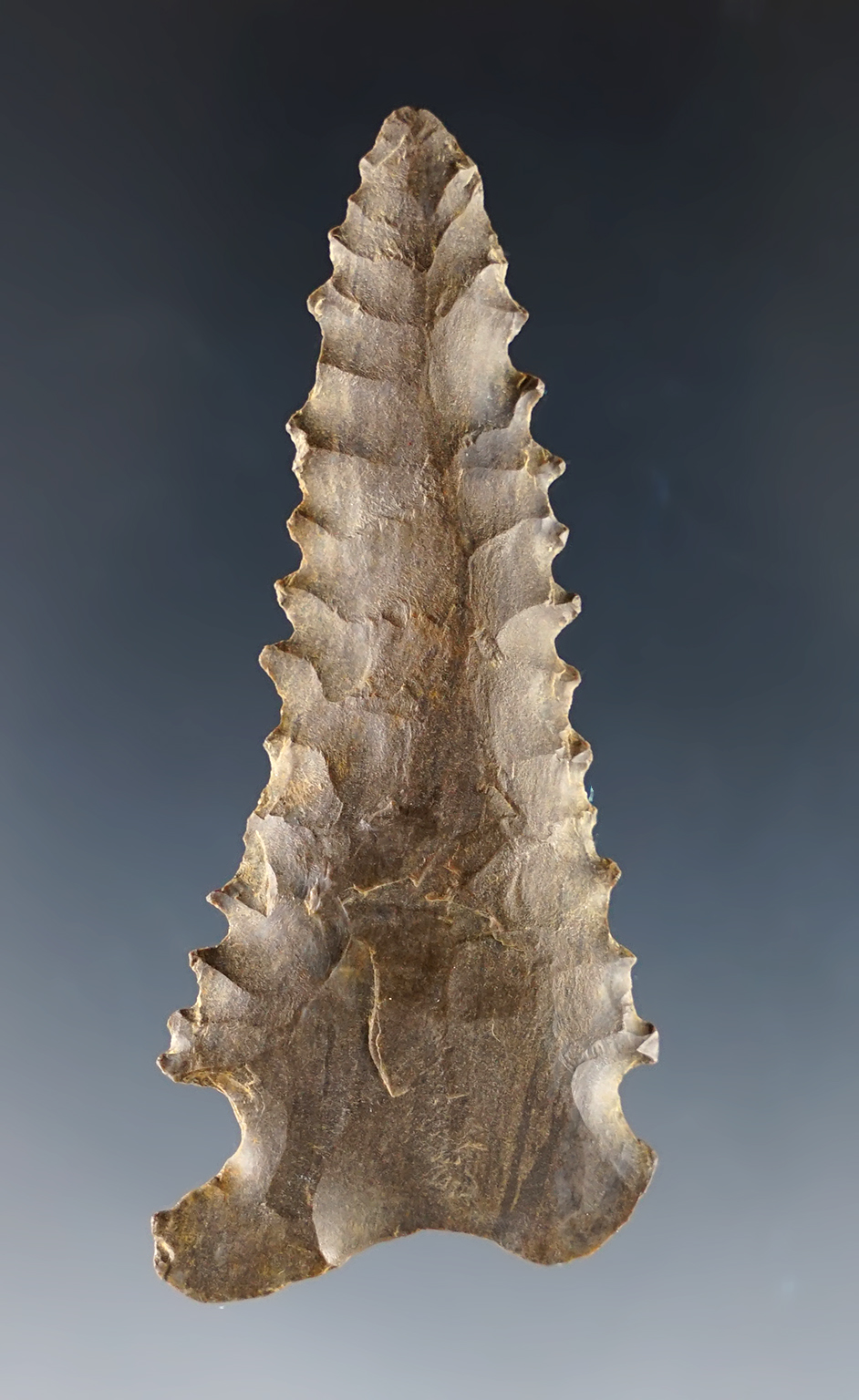 Main artifact image
