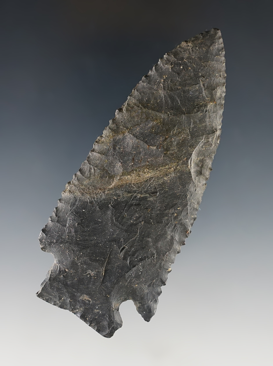 Main artifact image