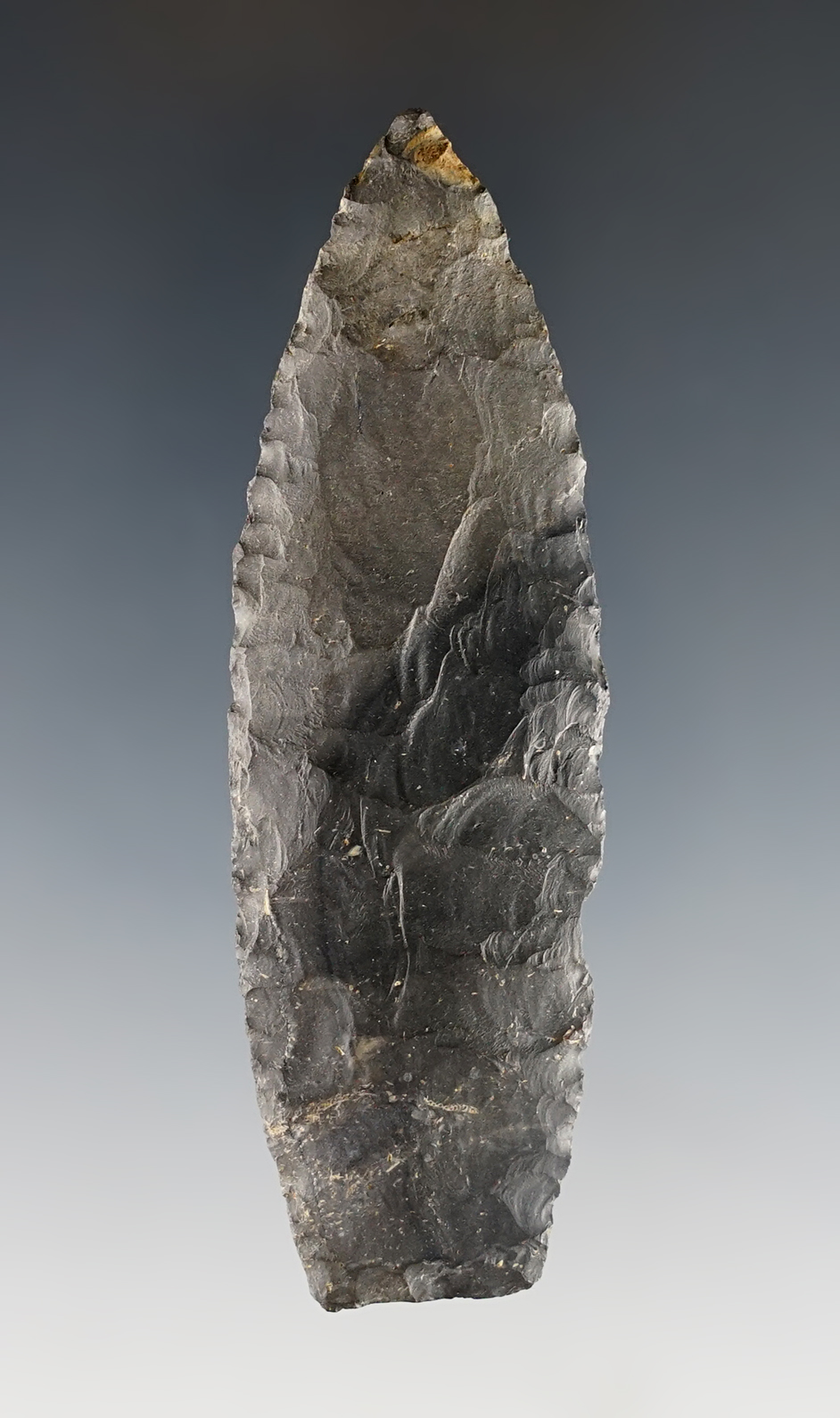 Well made 3 7/16" Paleo Lanceolate found near Siam, Reed Township, Seneca Co., Ohio. 