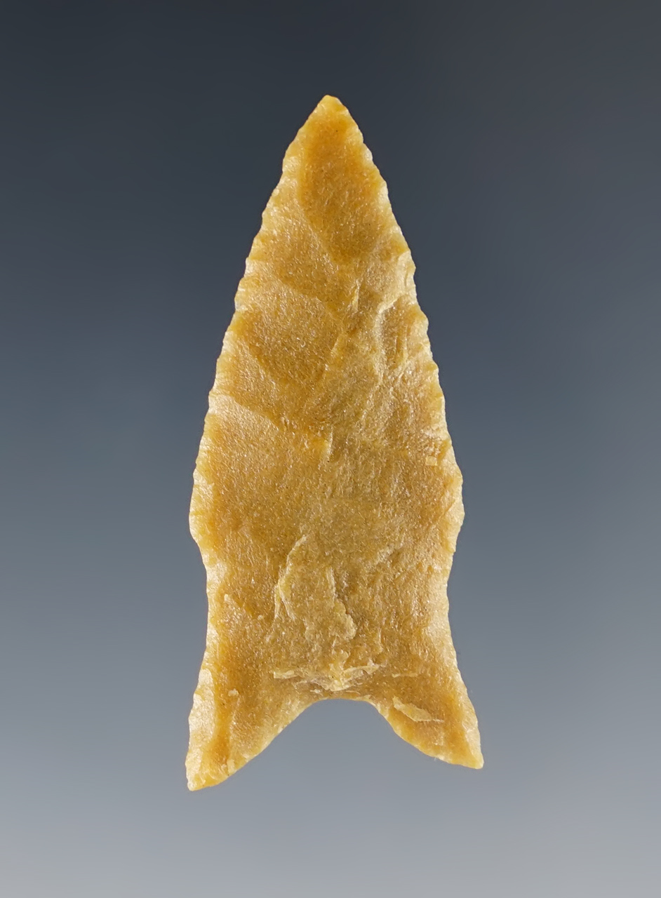 Main artifact image