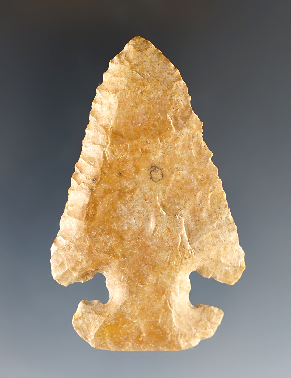 Main artifact image