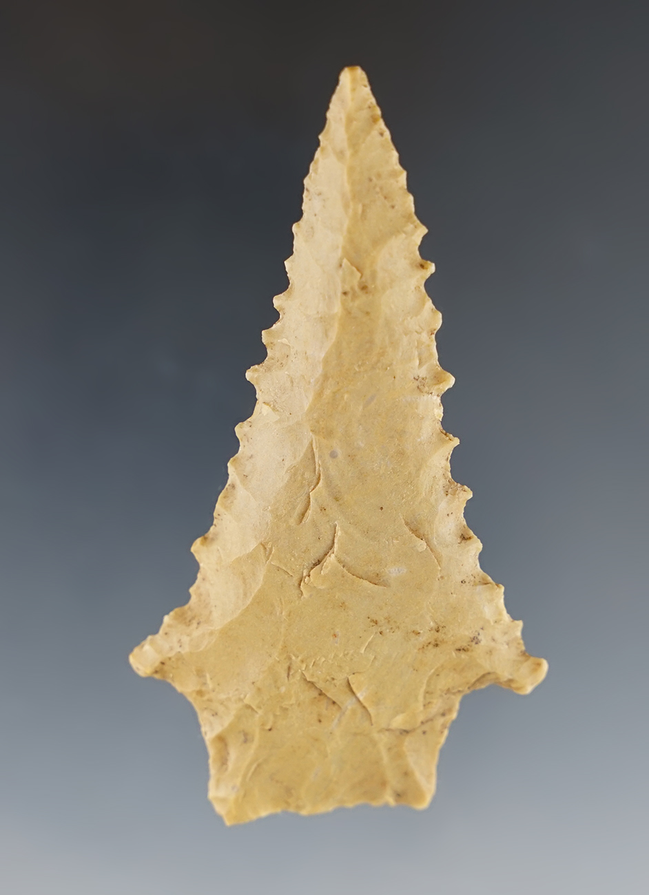 Main artifact image