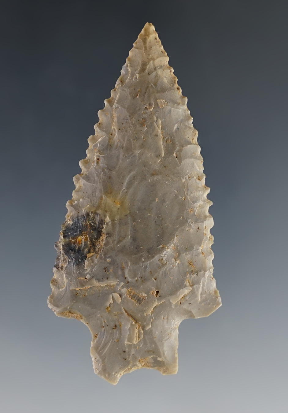 Main artifact image