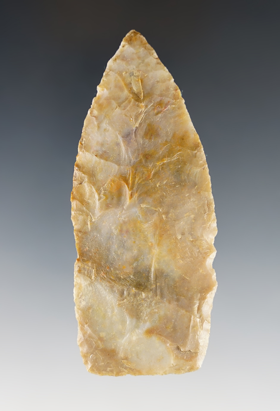 Highly colorful 3 9/16" Paleo Lanceolate with light grinding to the basal area. Marion Co., Ohio. 