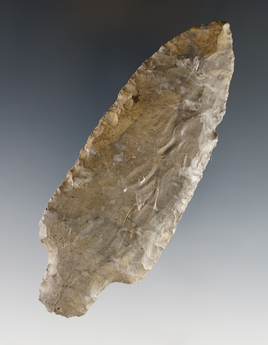 Main artifact image