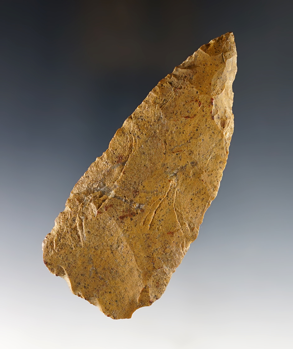 Main artifact image