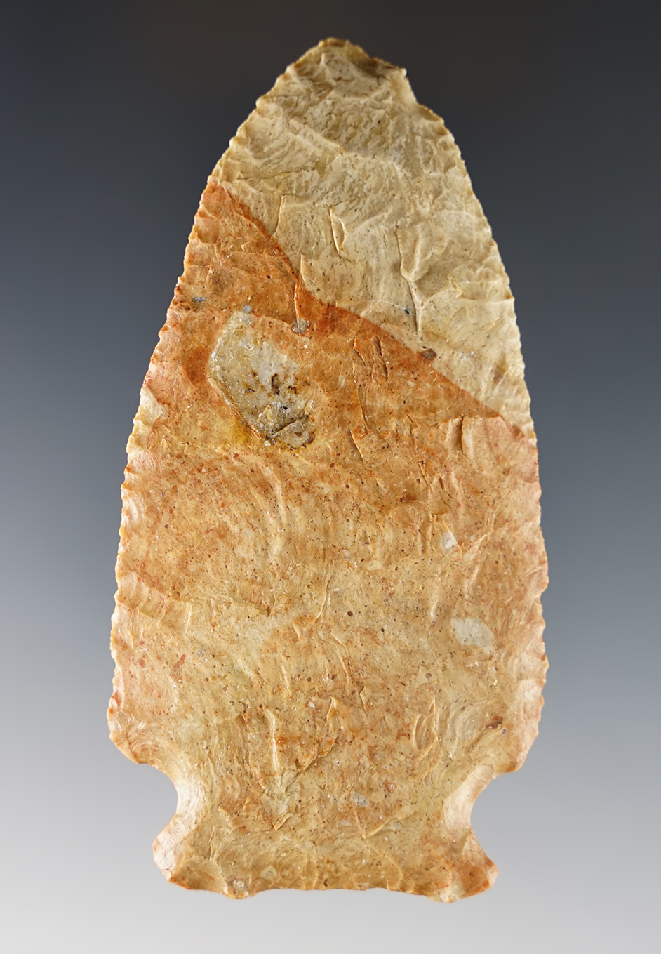Main artifact image