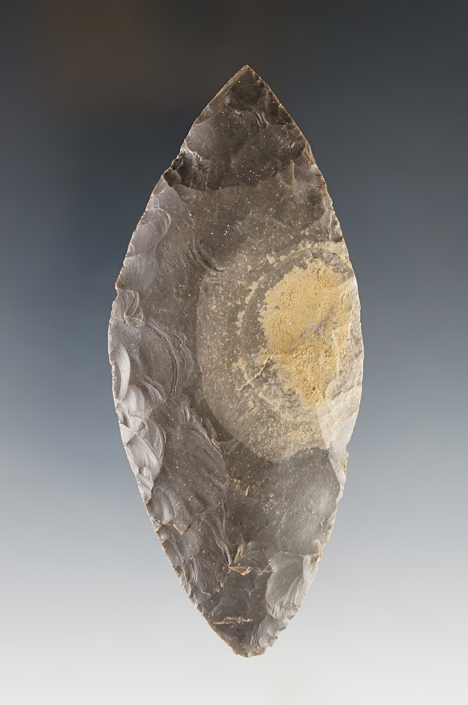 Main artifact image