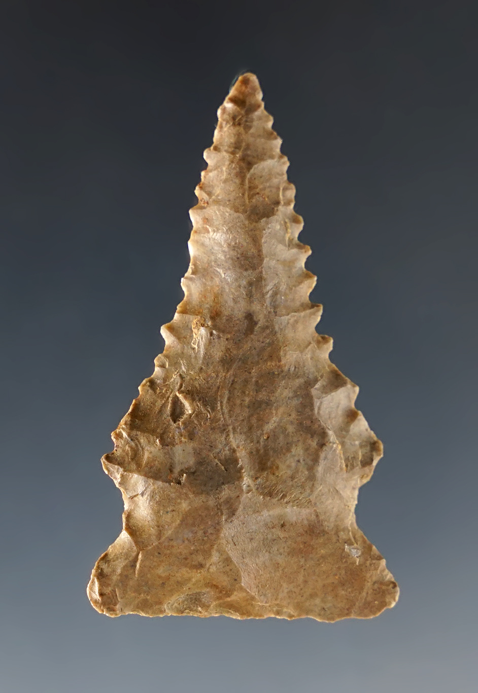 Main artifact image