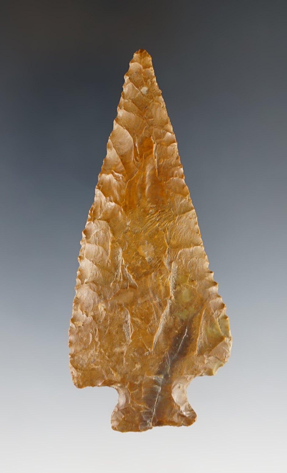 Main artifact image