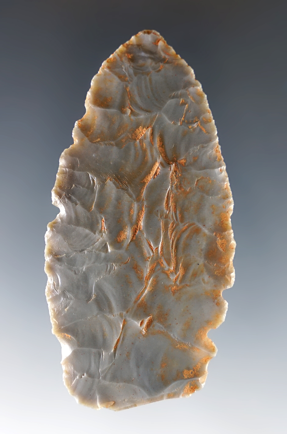 Main artifact image
