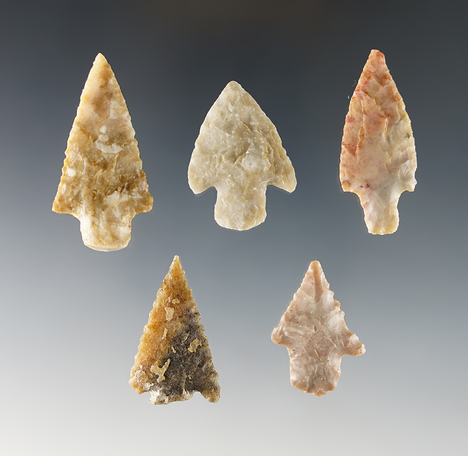 Main artifact image