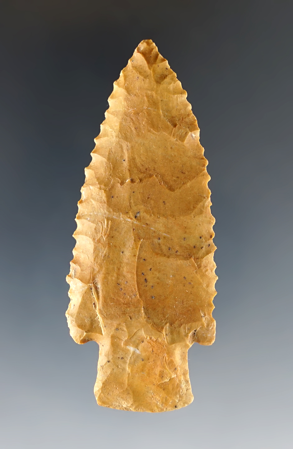 Main artifact image