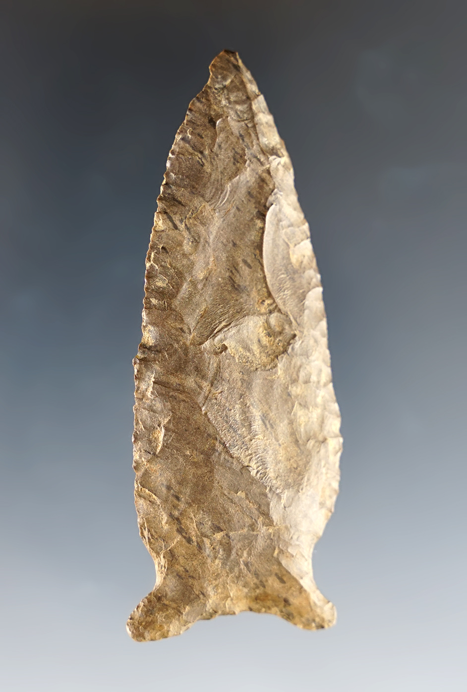 Main artifact image