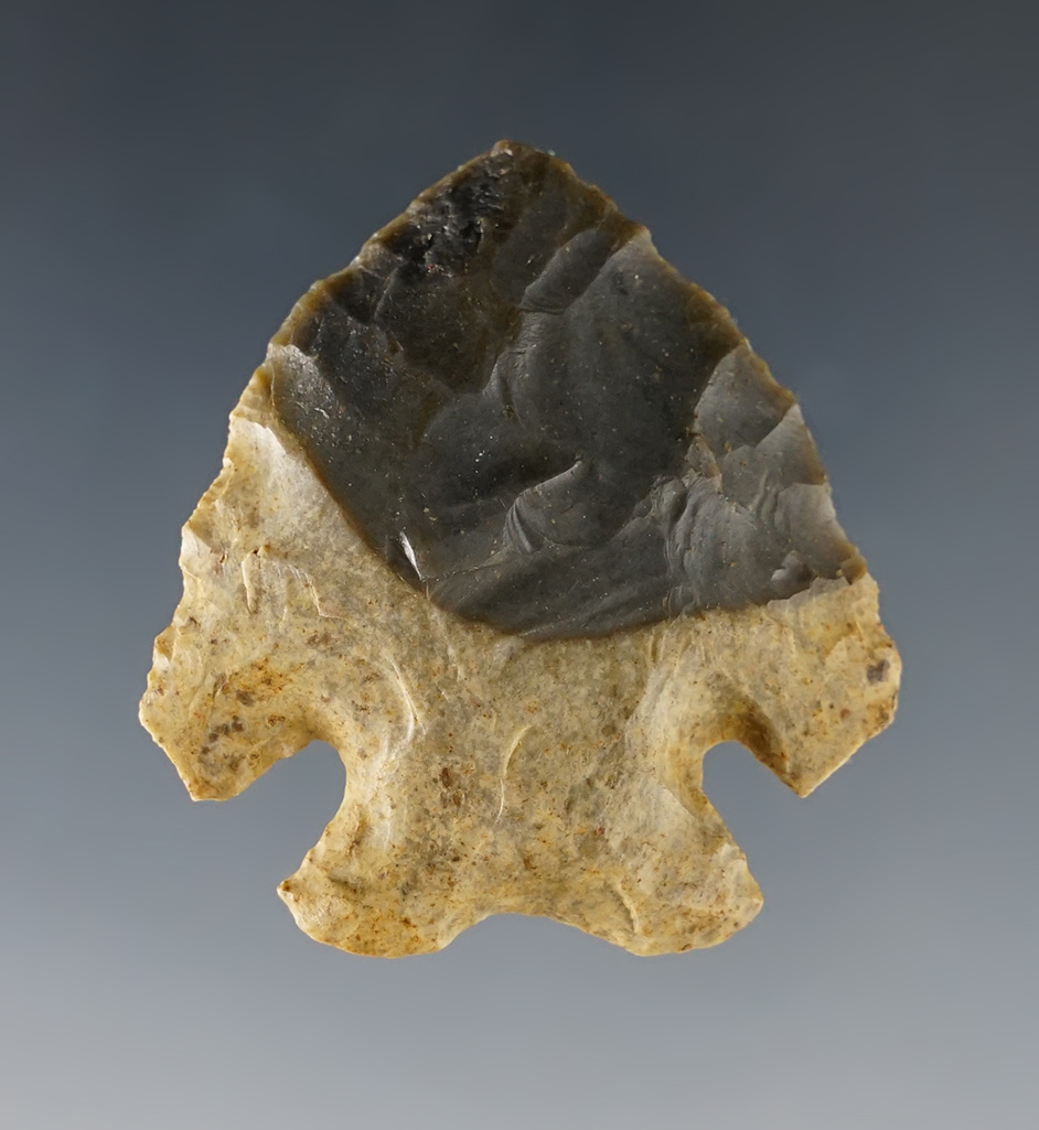 1 5/8" Archaic Notch-Base Dovetail made from two-toned Hornstone - Southern Ohio.