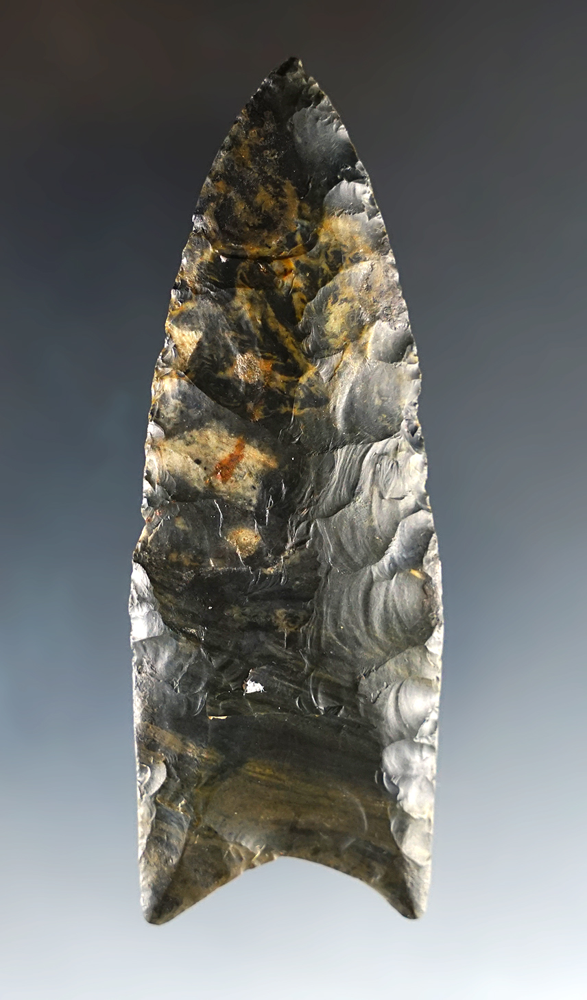 3 3/16" Fluted Paleo Clovis found in Ohio. The base is restored along with several areas.
