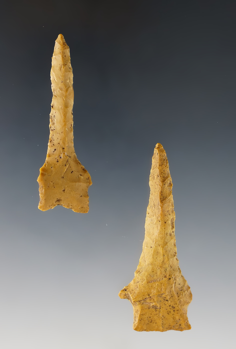 Main artifact image