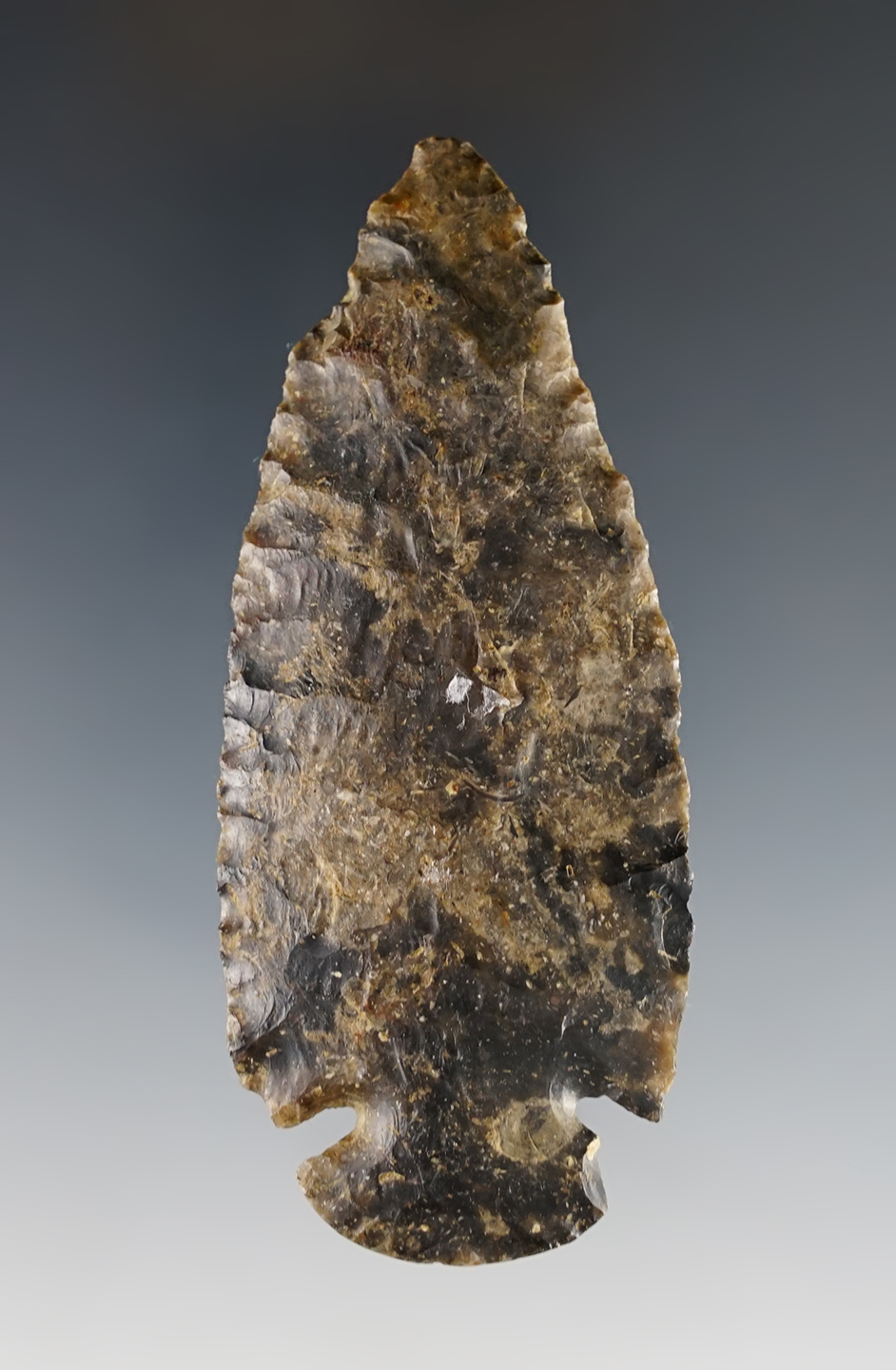 Nice 3 3/8" Dovetail found in Coshocton Co., Ohio.