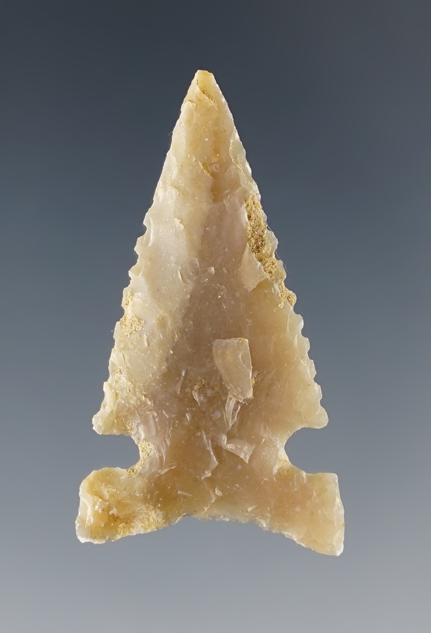 Main artifact image