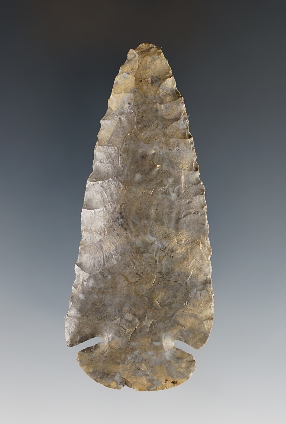 Main artifact image