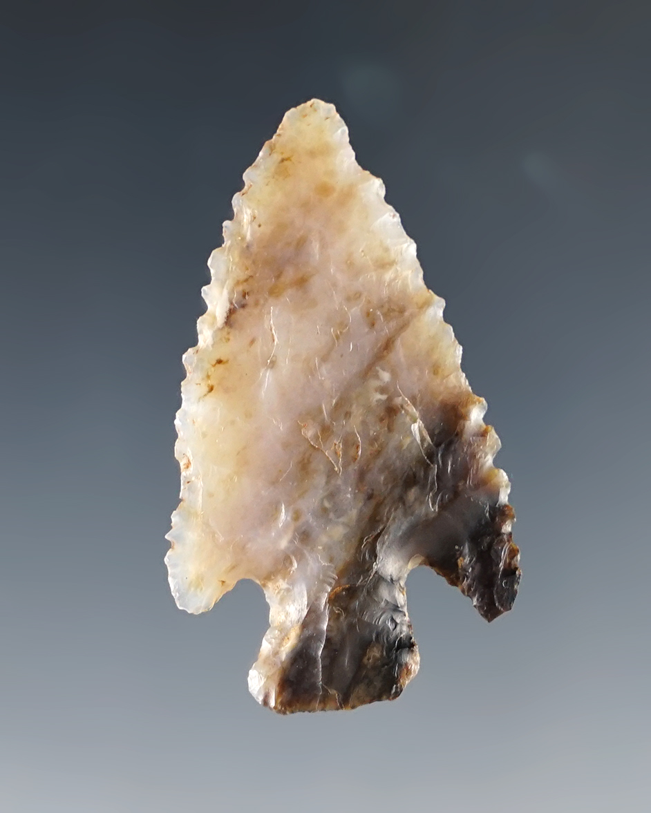Main artifact image