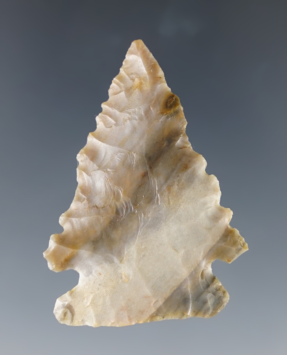 1 3/4" highly colorful Pinetree made from Sonora Flint. Nice serrations and flaking. Ohio.