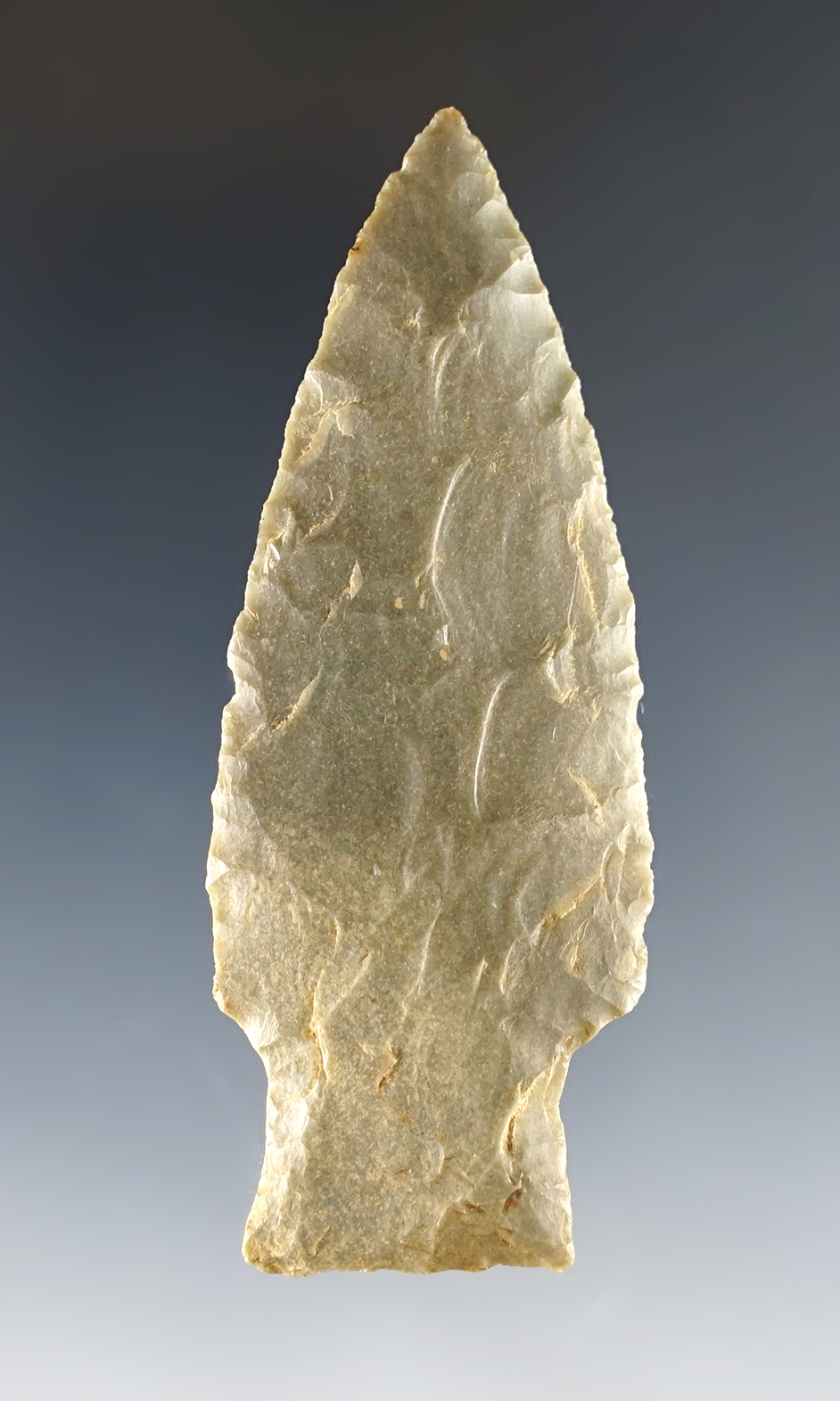 Main artifact image