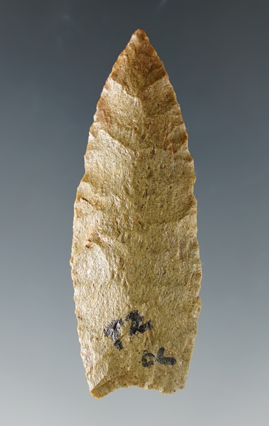 Main artifact image