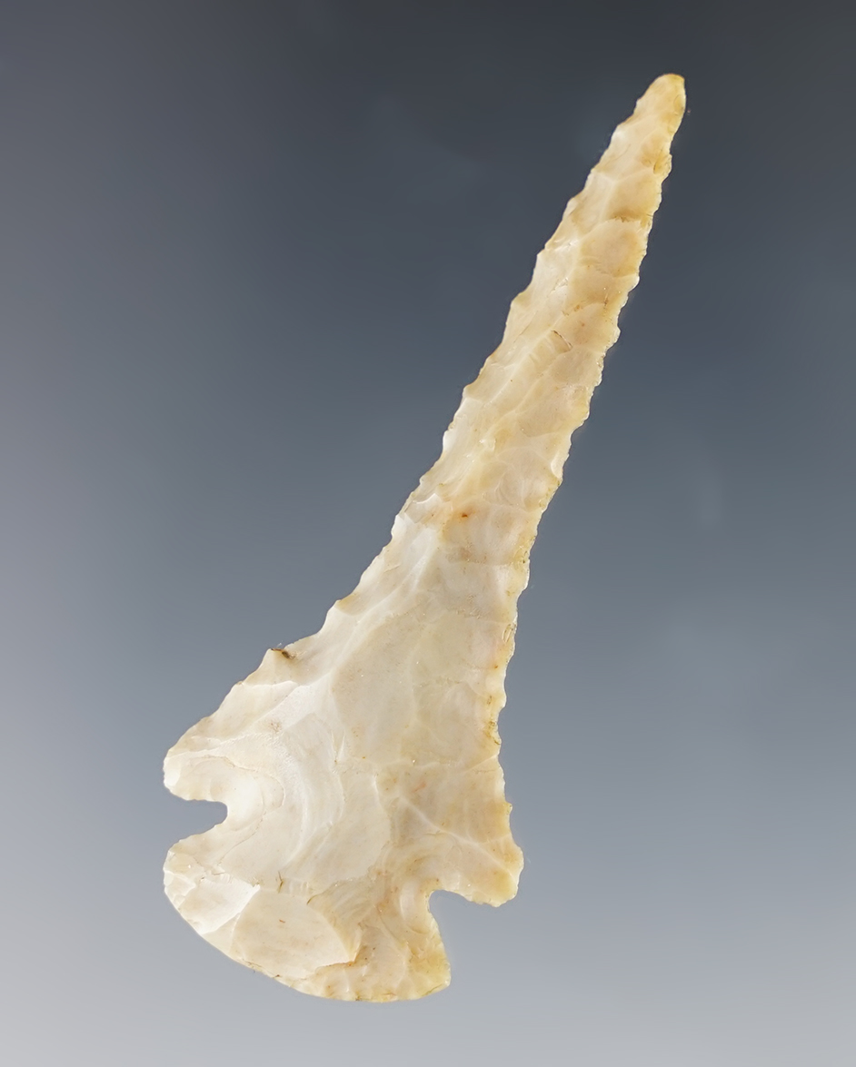 Main artifact image