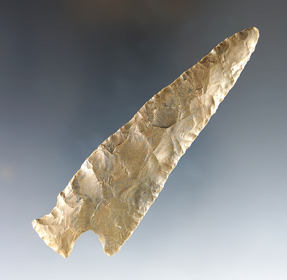 Main artifact image