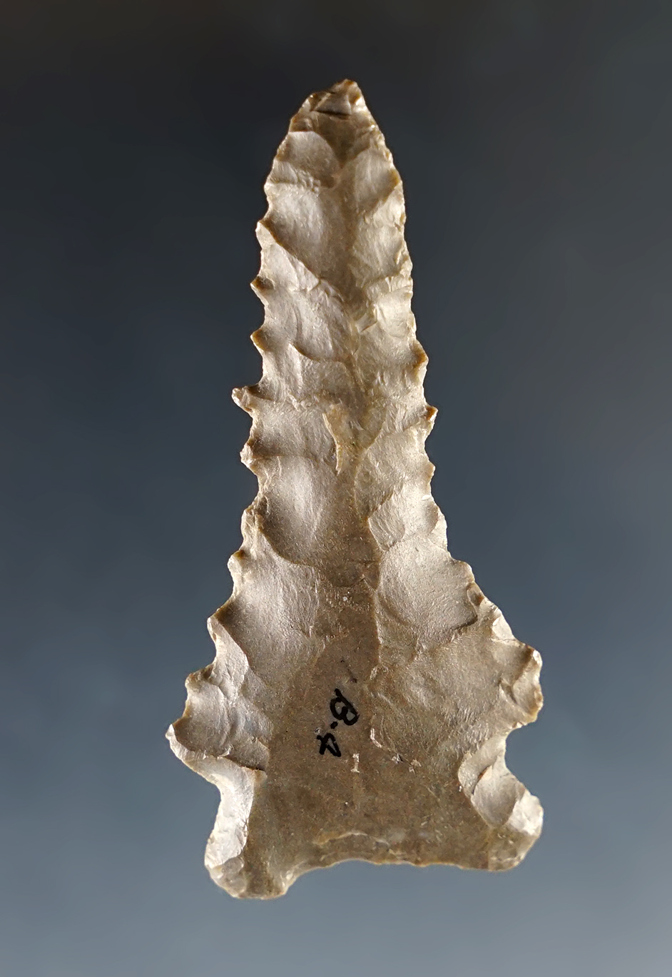 Main artifact image