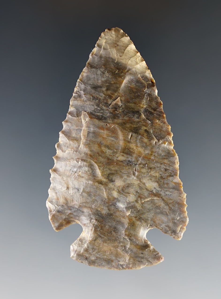 2 3/4" well serrated Dovetail made from Coshocton Flint. Found in Holmes Co., Ohio.