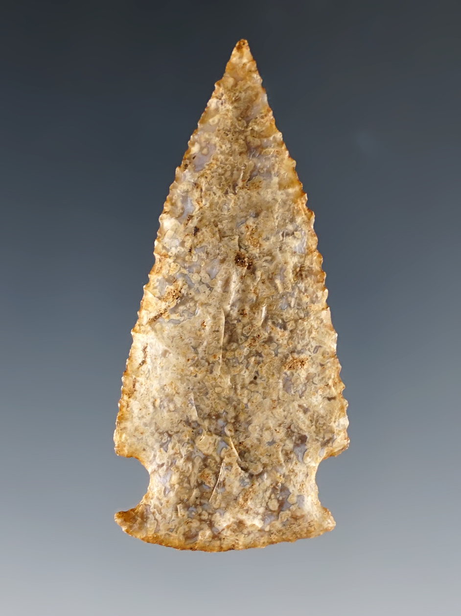 Main artifact image