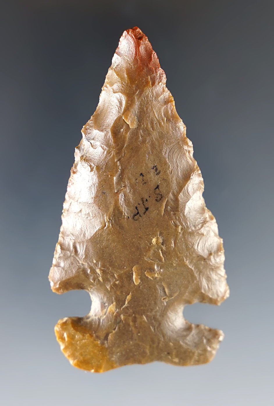 Main artifact image