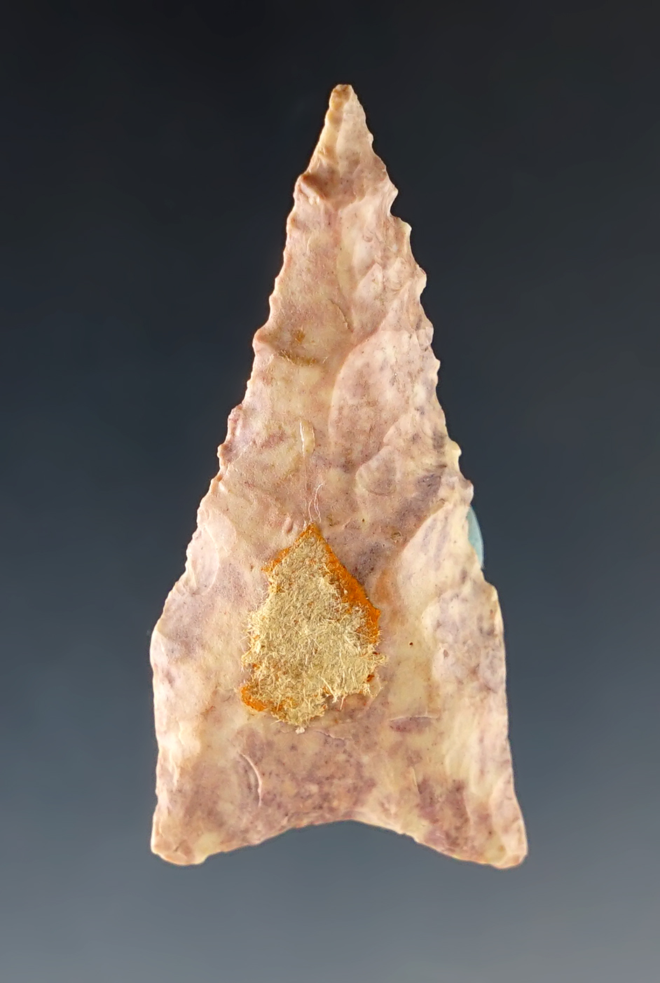 Main artifact image