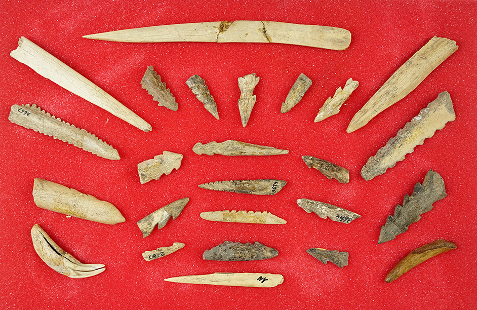Main artifact image