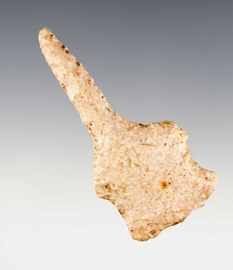 Main artifact image