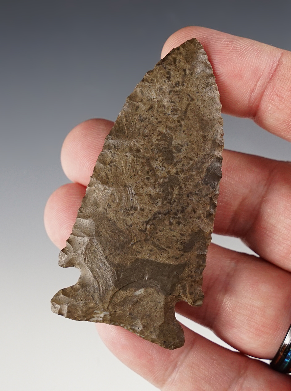 Main artifact image