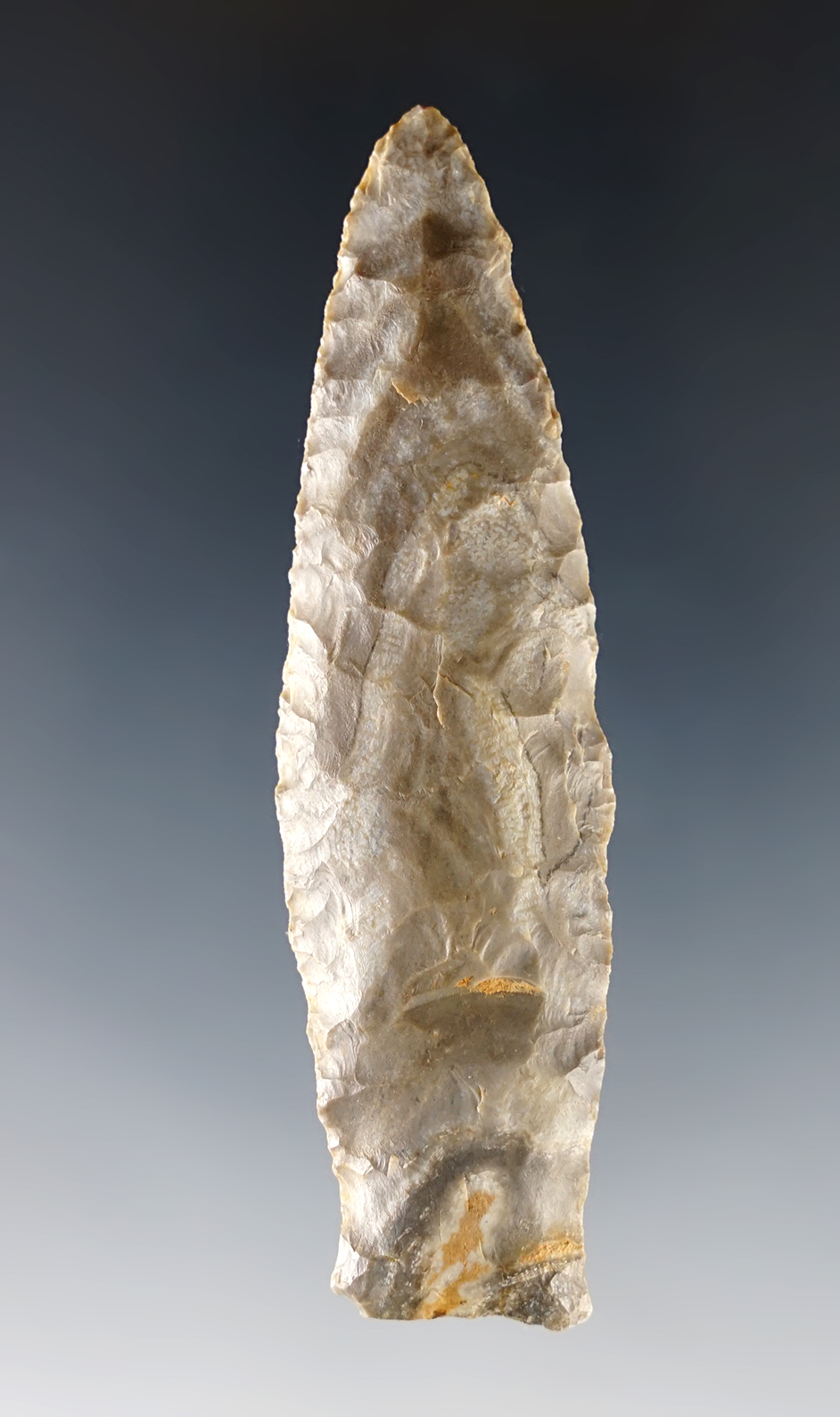 Main artifact image