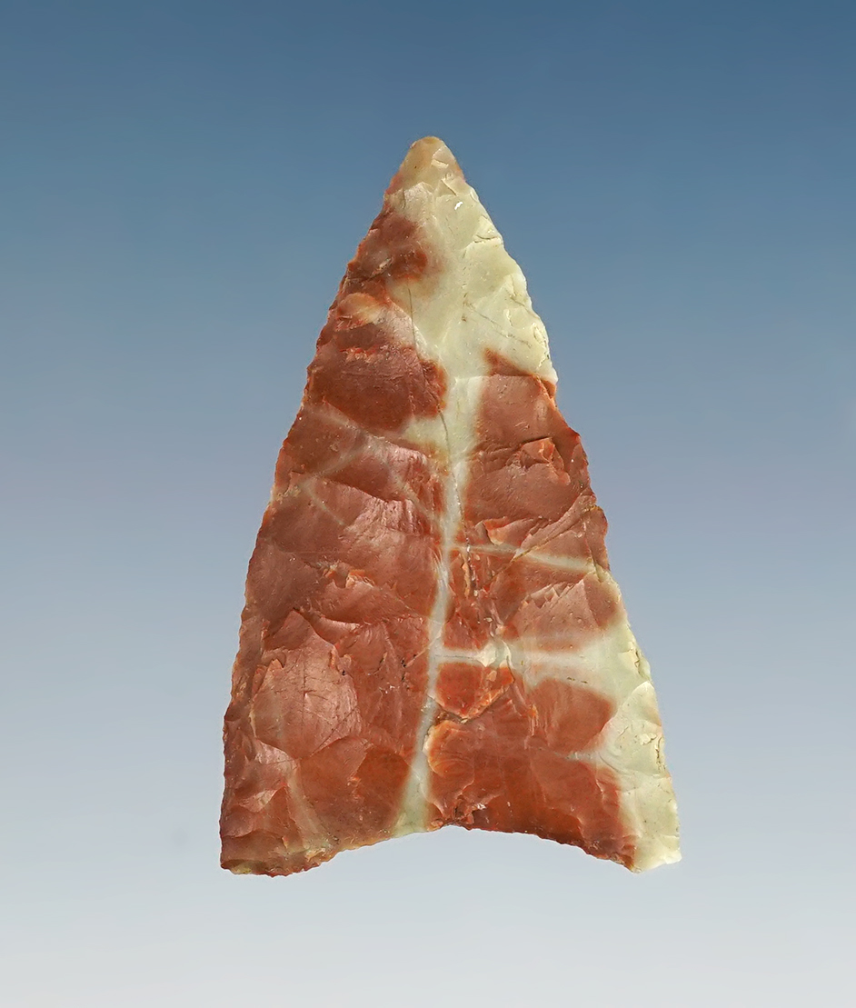 Main artifact image