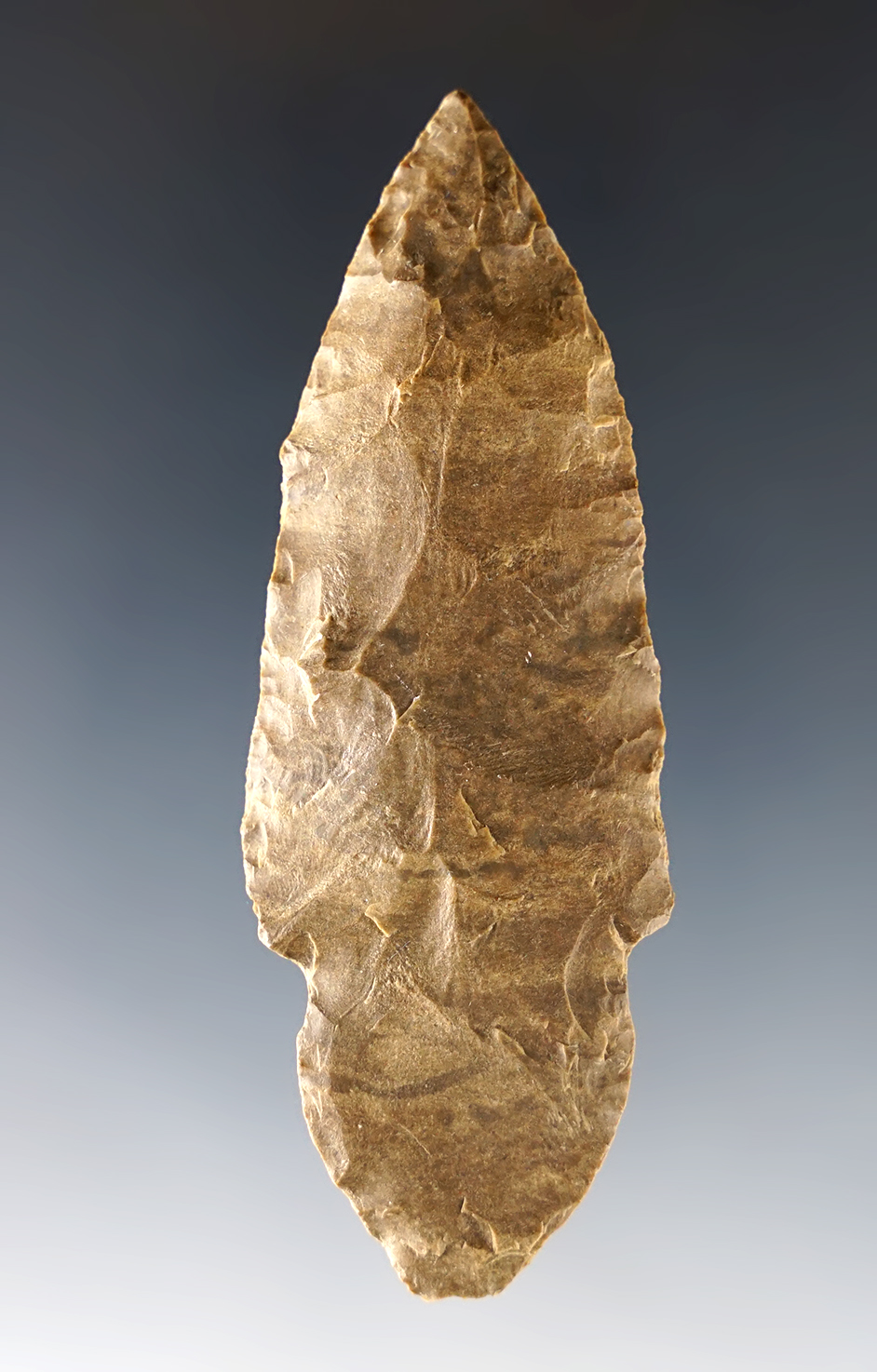 Main artifact image