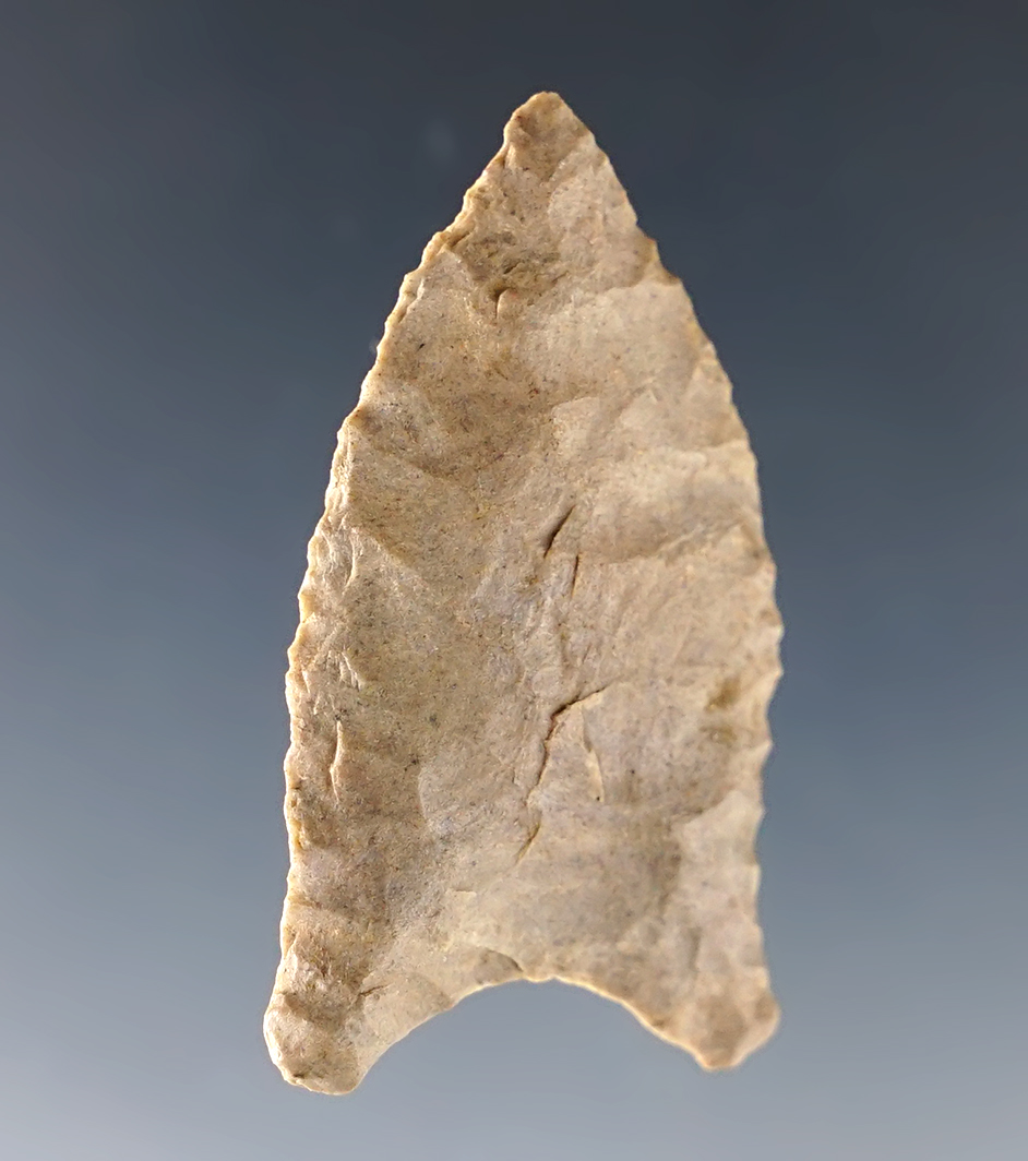 Main artifact image